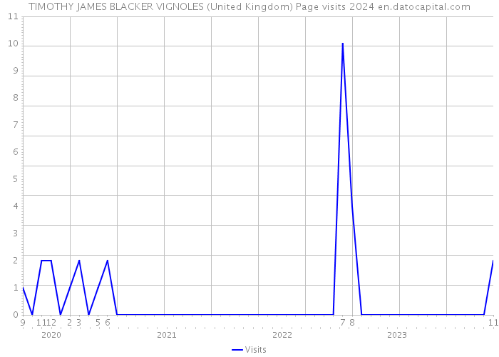 TIMOTHY JAMES BLACKER VIGNOLES (United Kingdom) Page visits 2024 