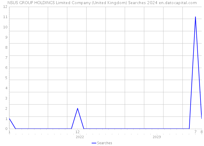 NSUS GROUP HOLDINGS Limited Company (United Kingdom) Searches 2024 