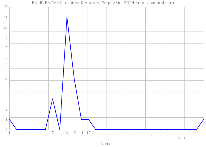 BAKIR BAGMACI (United Kingdom) Page visits 2024 