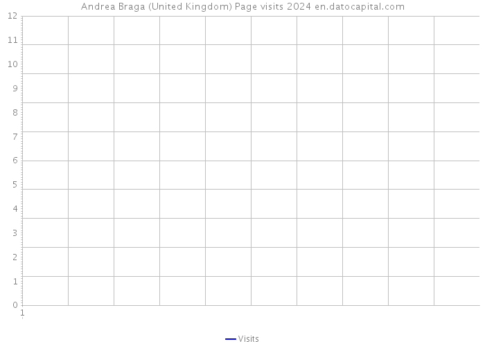 Andrea Braga (United Kingdom) Page visits 2024 