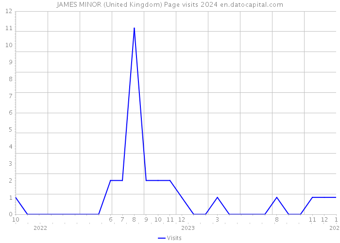 JAMES MINOR (United Kingdom) Page visits 2024 