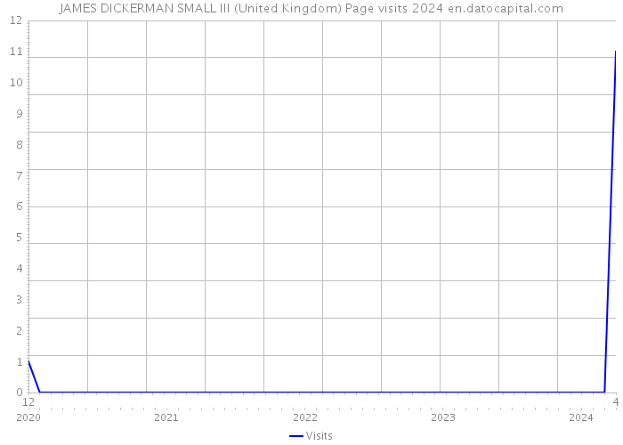 JAMES DICKERMAN SMALL III (United Kingdom) Page visits 2024 