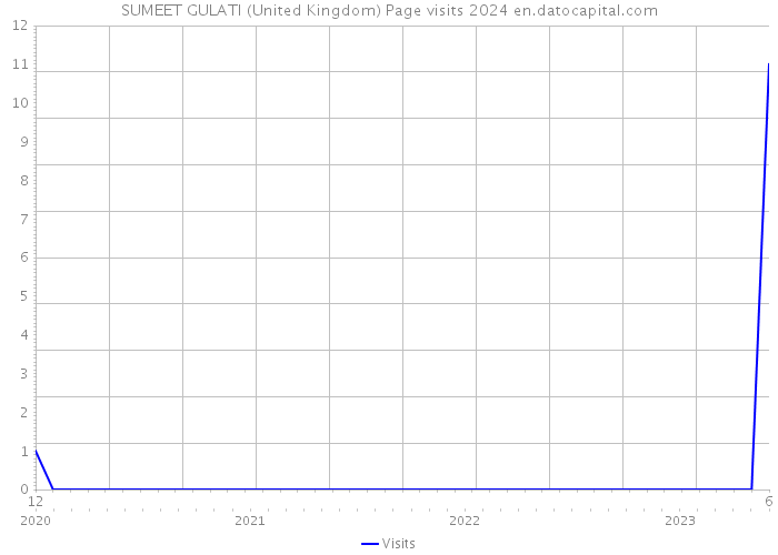 SUMEET GULATI (United Kingdom) Page visits 2024 