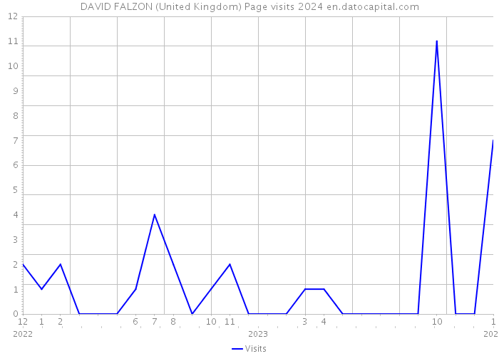 DAVID FALZON (United Kingdom) Page visits 2024 