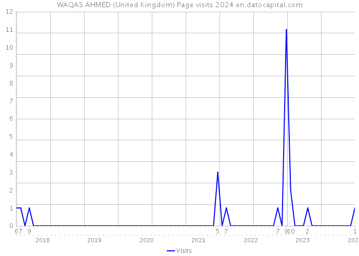 WAQAS AHMED (United Kingdom) Page visits 2024 