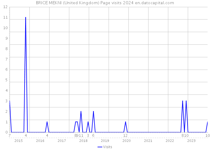 BRICE MEKNI (United Kingdom) Page visits 2024 