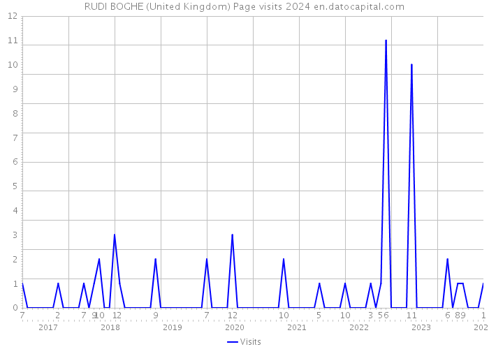 RUDI BOGHE (United Kingdom) Page visits 2024 