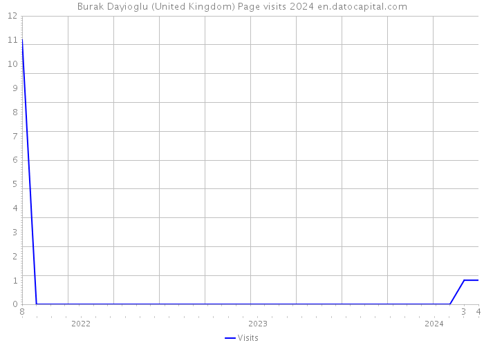 Burak Dayioglu (United Kingdom) Page visits 2024 