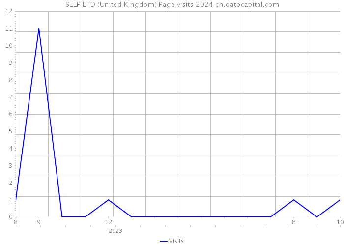 SELP LTD (United Kingdom) Page visits 2024 