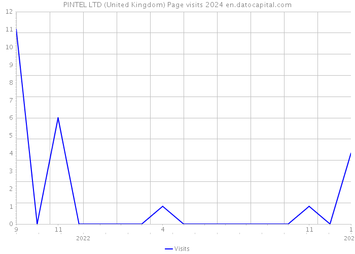 PINTEL LTD (United Kingdom) Page visits 2024 