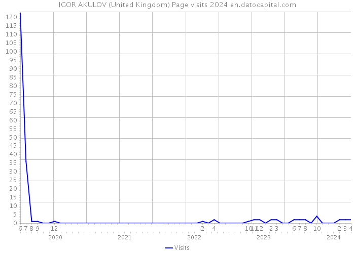 IGOR AKULOV (United Kingdom) Page visits 2024 
