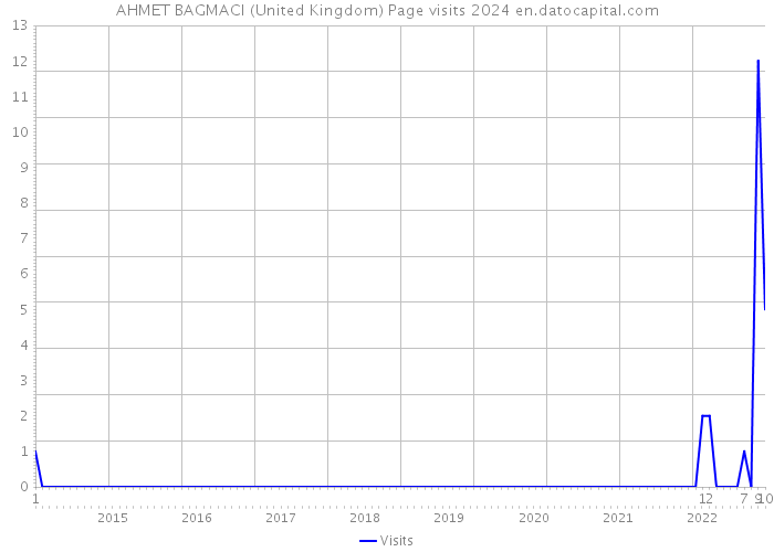 AHMET BAGMACI (United Kingdom) Page visits 2024 