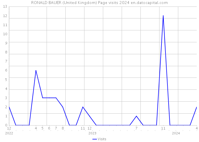 RONALD BAUER (United Kingdom) Page visits 2024 