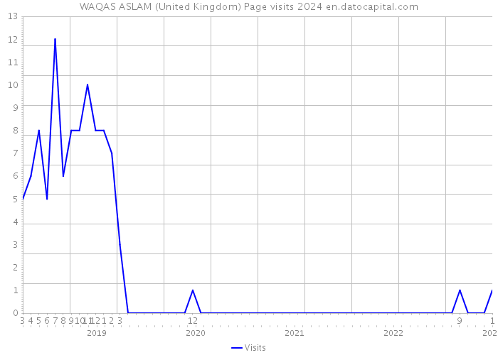 WAQAS ASLAM (United Kingdom) Page visits 2024 