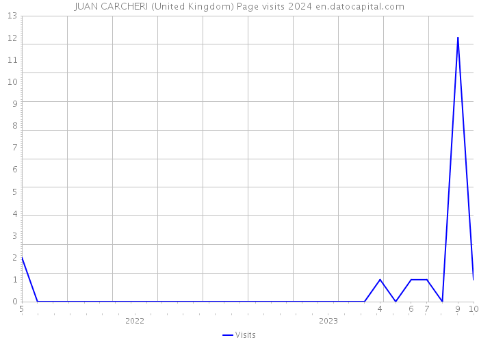 JUAN CARCHERI (United Kingdom) Page visits 2024 