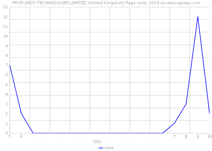 PROFUNDO TECHNOLOGIES LIMITED (United Kingdom) Page visits 2024 