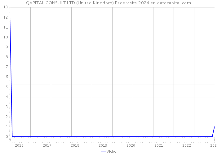 QAPITAL CONSULT LTD (United Kingdom) Page visits 2024 