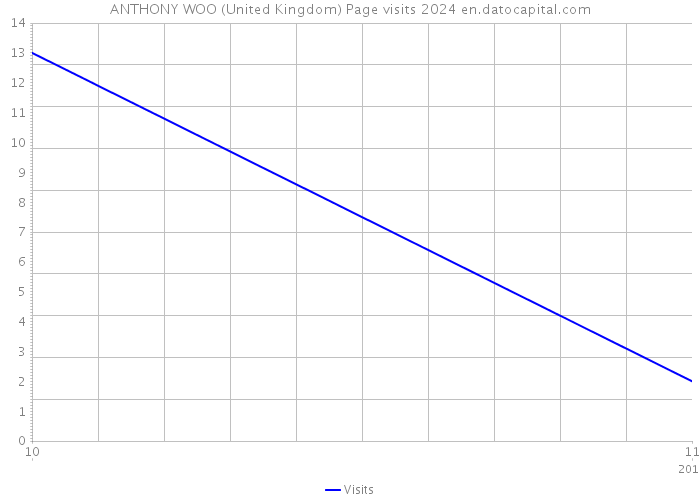 ANTHONY WOO (United Kingdom) Page visits 2024 