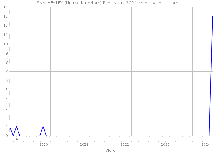 SAM HEALEY (United Kingdom) Page visits 2024 