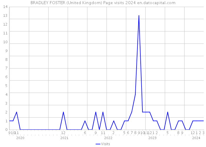 BRADLEY FOSTER (United Kingdom) Page visits 2024 