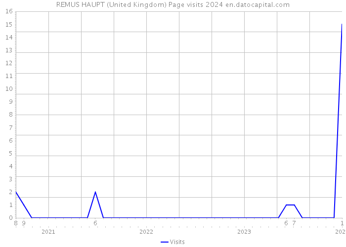 REMUS HAUPT (United Kingdom) Page visits 2024 