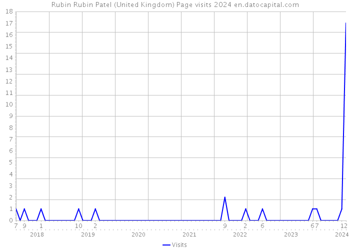 Rubin Rubin Patel (United Kingdom) Page visits 2024 