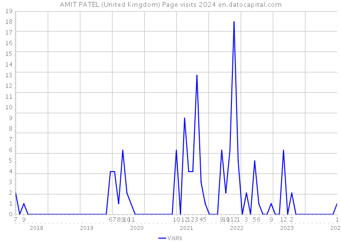 AMIT PATEL (United Kingdom) Page visits 2024 