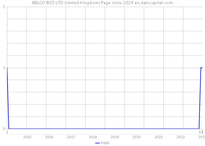 BELGO BIZZ LTD (United Kingdom) Page visits 2024 