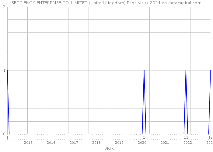 BECCIENOY ENTERPRISE CO. LIMITED (United Kingdom) Page visits 2024 