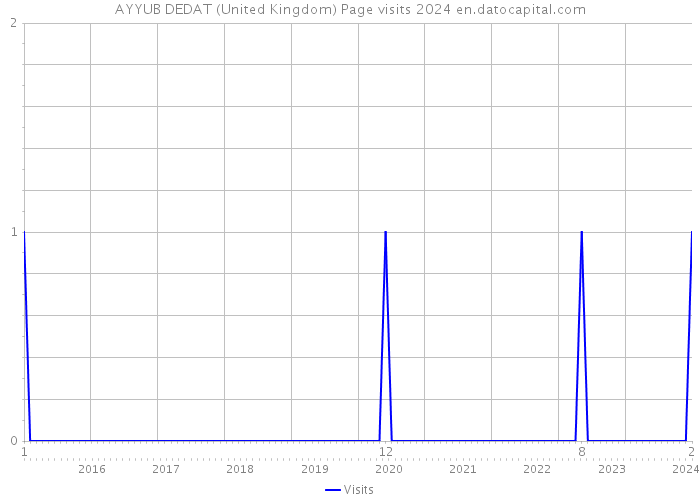 AYYUB DEDAT (United Kingdom) Page visits 2024 