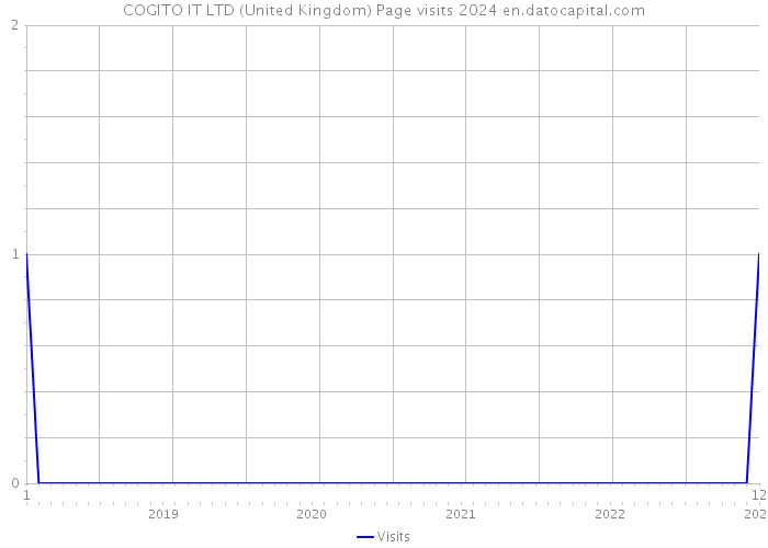 COGITO IT LTD (United Kingdom) Page visits 2024 