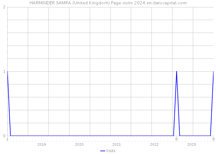 HARMINDER SAMRA (United Kingdom) Page visits 2024 