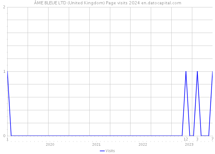 ÂME BLEUE LTD (United Kingdom) Page visits 2024 