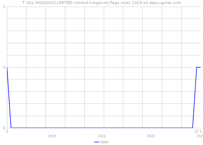 T GILL HOLDINGS LIMITED (United Kingdom) Page visits 2024 