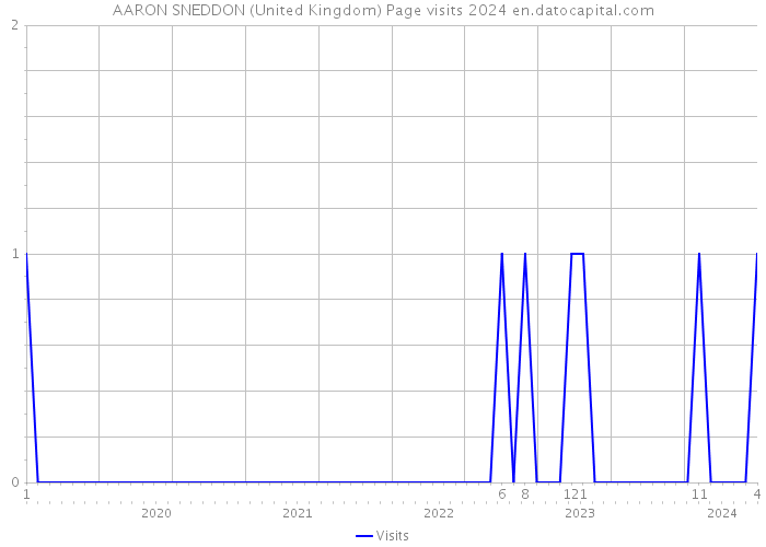 AARON SNEDDON (United Kingdom) Page visits 2024 
