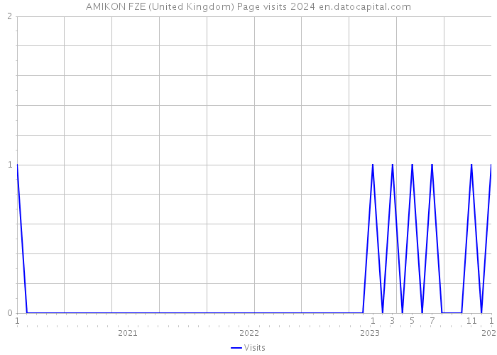 AMIKON FZE (United Kingdom) Page visits 2024 