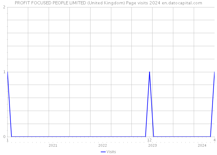 PROFIT FOCUSED PEOPLE LIMITED (United Kingdom) Page visits 2024 