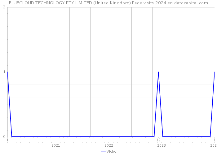BLUECLOUD TECHNOLOGY PTY LIMITED (United Kingdom) Page visits 2024 