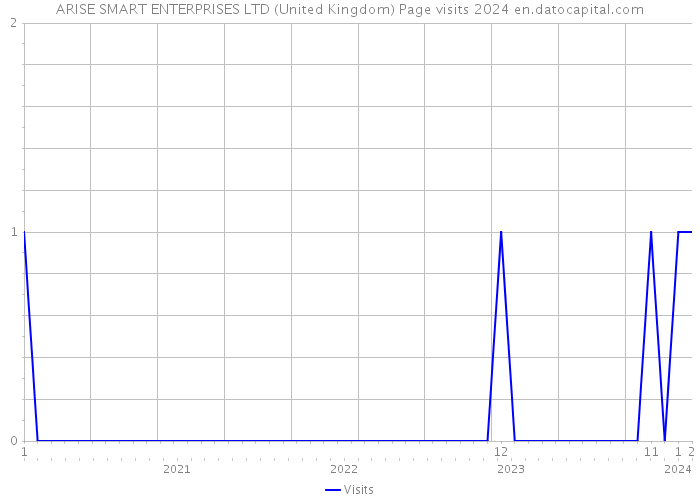 ARISE SMART ENTERPRISES LTD (United Kingdom) Page visits 2024 