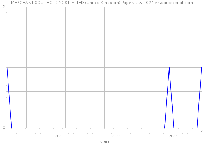 MERCHANT SOUL HOLDINGS LIMITED (United Kingdom) Page visits 2024 