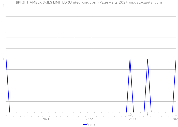 BRIGHT AMBER SKIES LIMITED (United Kingdom) Page visits 2024 
