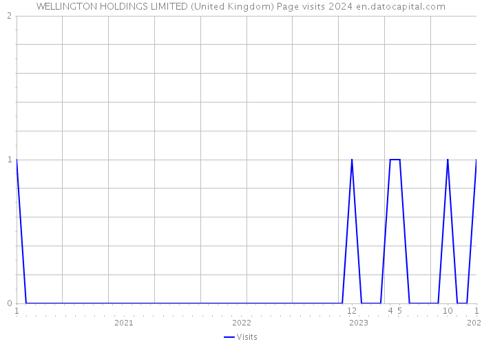 WELLINGTON HOLDINGS LIMITED (United Kingdom) Page visits 2024 