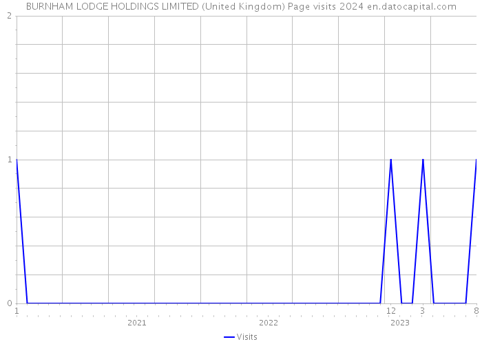 BURNHAM LODGE HOLDINGS LIMITED (United Kingdom) Page visits 2024 