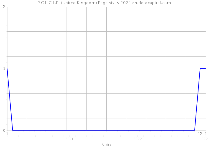 P C II C L.P. (United Kingdom) Page visits 2024 