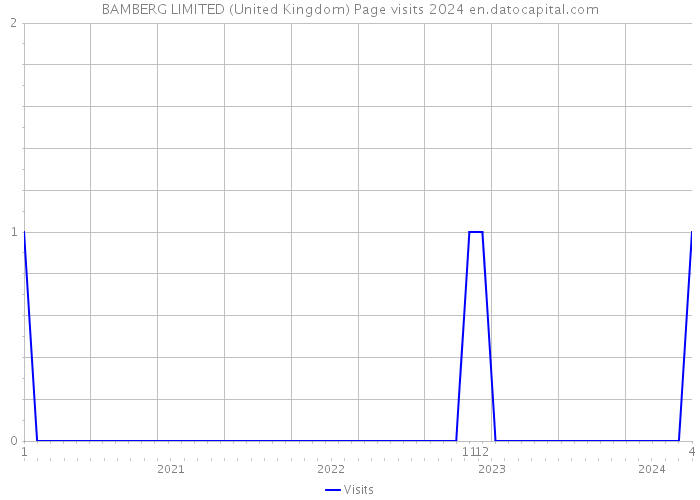 BAMBERG LIMITED (United Kingdom) Page visits 2024 