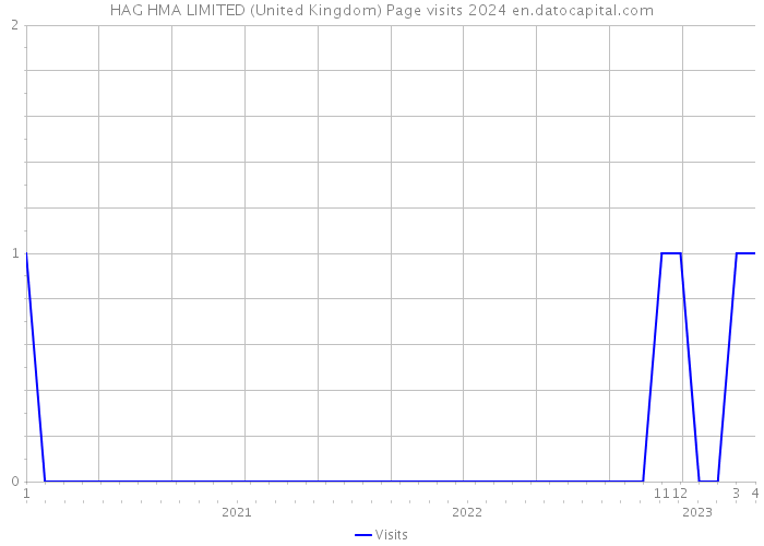 HAG HMA LIMITED (United Kingdom) Page visits 2024 