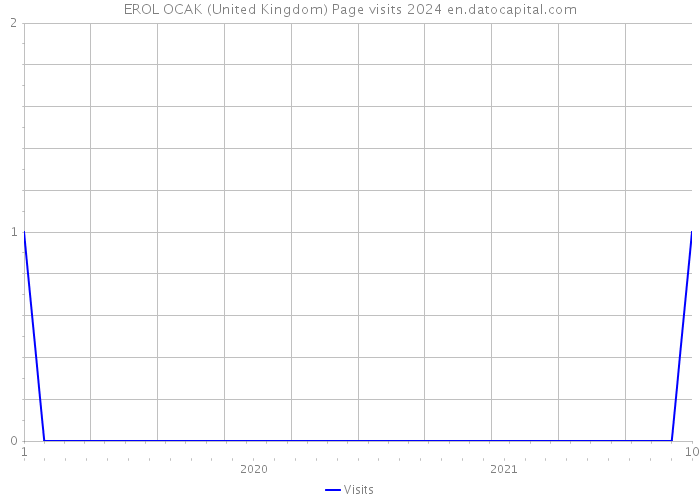 EROL OCAK (United Kingdom) Page visits 2024 