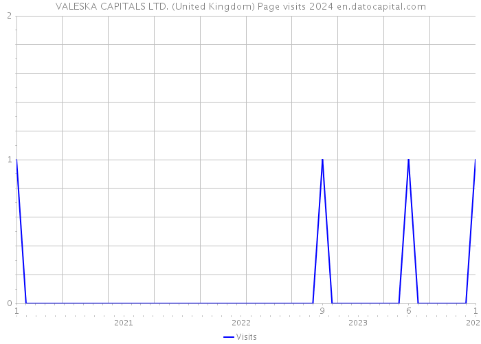 VALESKA CAPITALS LTD. (United Kingdom) Page visits 2024 