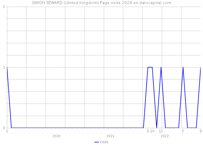 SIMON SEWARD (United Kingdom) Page visits 2024 