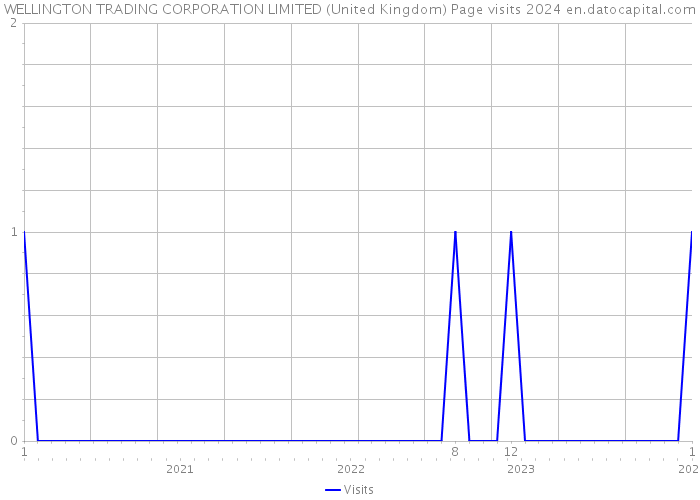 WELLINGTON TRADING CORPORATION LIMITED (United Kingdom) Page visits 2024 